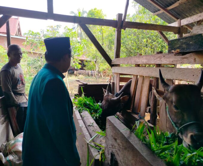 As'adiyah Galung Beru Siap Berkurban Tanpa Plastik, Lebih Ramah Lingkungan