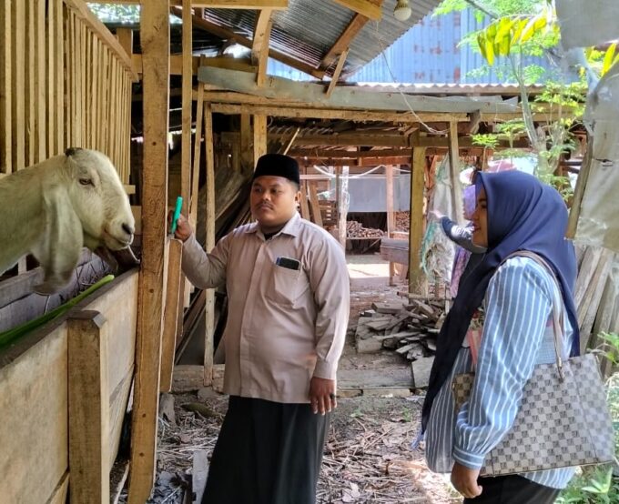 Dinas Peternakan Bulukumba Pantau Kesehatan Kambing Etawa di Ponpes As’adiyah Galung Beru